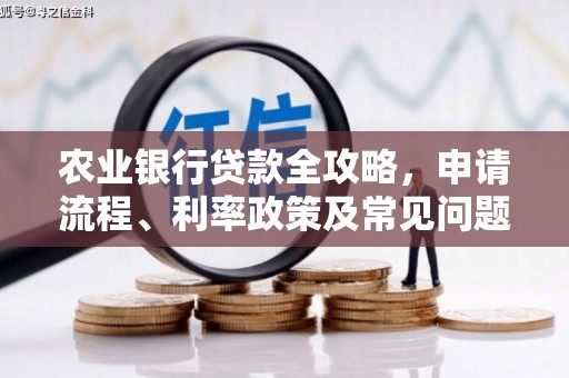 奎屯农业银行贷款全攻略，申请流程、利率政策及常见问题解析