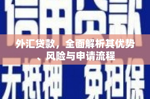 奎屯外汇贷款，全面解析其优势、风险与申请流程