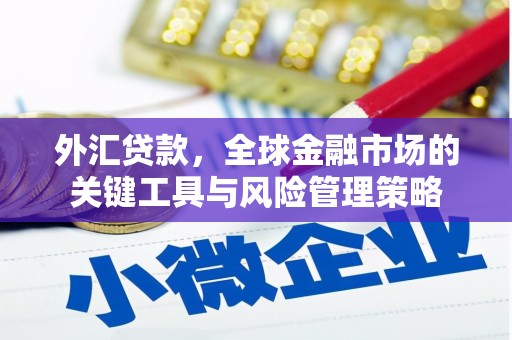 奎屯外汇贷款，全球金融市场的关键工具与风险管理策略