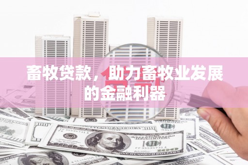 奎屯畜牧贷款，助力畜牧业发展的金融利器