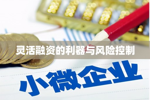 奎屯灵活融资的利器与风险控制