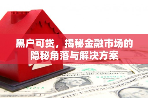 奎屯黑户可贷，揭秘金融市场的隐秘角落与解决方案