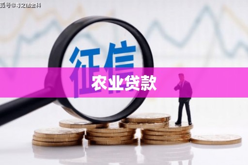 奎屯农业贷款