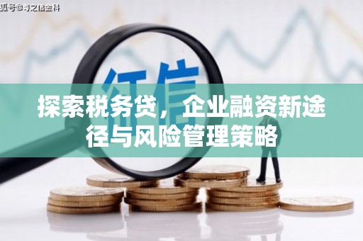 奎屯探索税务贷，企业融资新途径与风险管理策略