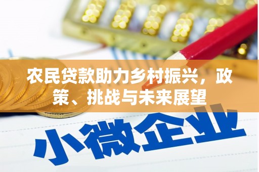 奎屯农民贷款助力乡村振兴，政策、挑战与未来展望