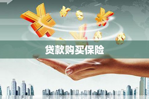 奎屯贷款购买保险