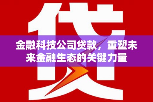奎屯金融科技公司贷款，重塑未来金融生态的关键力量