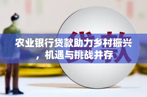 奎屯农业银行贷款助力乡村振兴，机遇与挑战并存