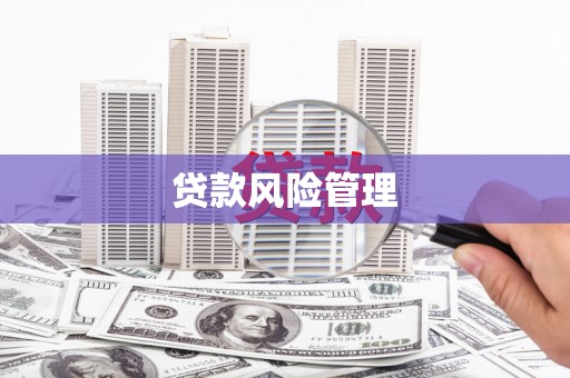 奎屯贷款风险管理