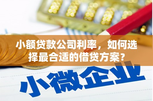 奎屯小额贷款公司利率，如何选择最合适的借贷方案？
