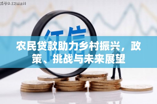 奎屯农民贷款助力乡村振兴，政策、挑战与未来展望
