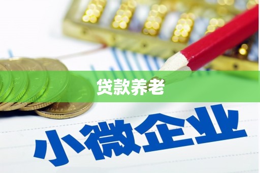 奎屯贷款养老