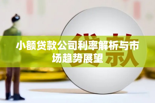 奎屯小额贷款公司利率解析与市场趋势展望