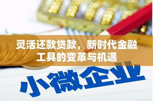 奎屯灵活还款贷款，新时代金融工具的变革与机遇