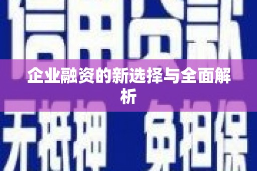 奎屯企业融资的新选择与全面解析